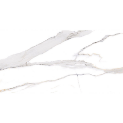 Πλακάκι Swan Satvario 60x120 CASA