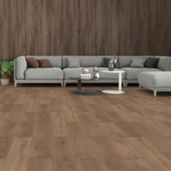 Δάπεδο Laminate Elite XL 4V 12mm 015 NAIROBI CASA PRACTIKA 1
