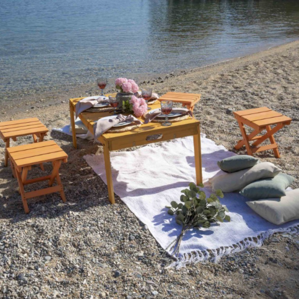 Πικ Νικ Βαλίτσα CASA PRACTIKA