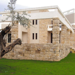 Rock Face Κίτρο CASA PRACTIKA 4